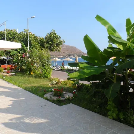 מלון Dinc בוזבורון