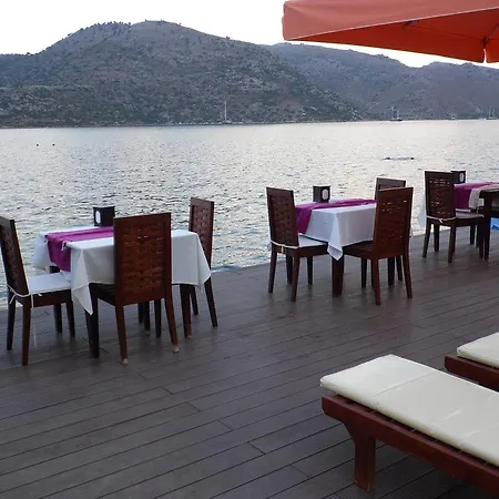 מלון Dinc בוזבורון