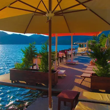 Dinc בוזבורון